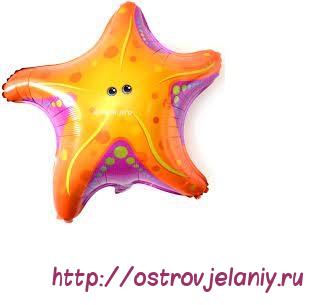 морская звезда 66см