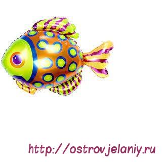 разноцветная рыбка