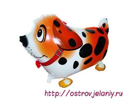 Воздушный шар (24&#039;&#039;/61 см) Ходячая Фигура, Собака далматин, Оранжевый