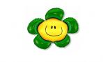 Воздушный шар (15''/38 см) Мини-фигура, Солнечная улыбка, Зеленый